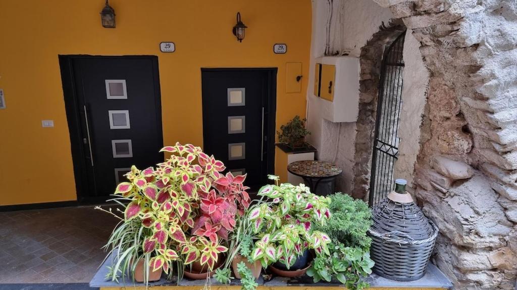 Beautifully Restored Romantic Apartment In The Centre Of Historic Dolcedo Dış mekan fotoğraf